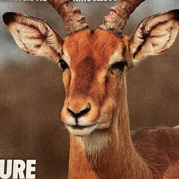 American Hunter February 2023 Wyoming Women Foundation Build Butcher Shop - Picture 3 of 9